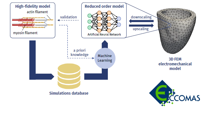 Francesco Regazioni is one of the two winners of the ECCOMAS 2020 PhD Awards