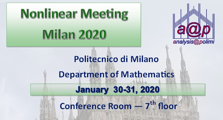 Nonlinear Meeting  Milan 2020