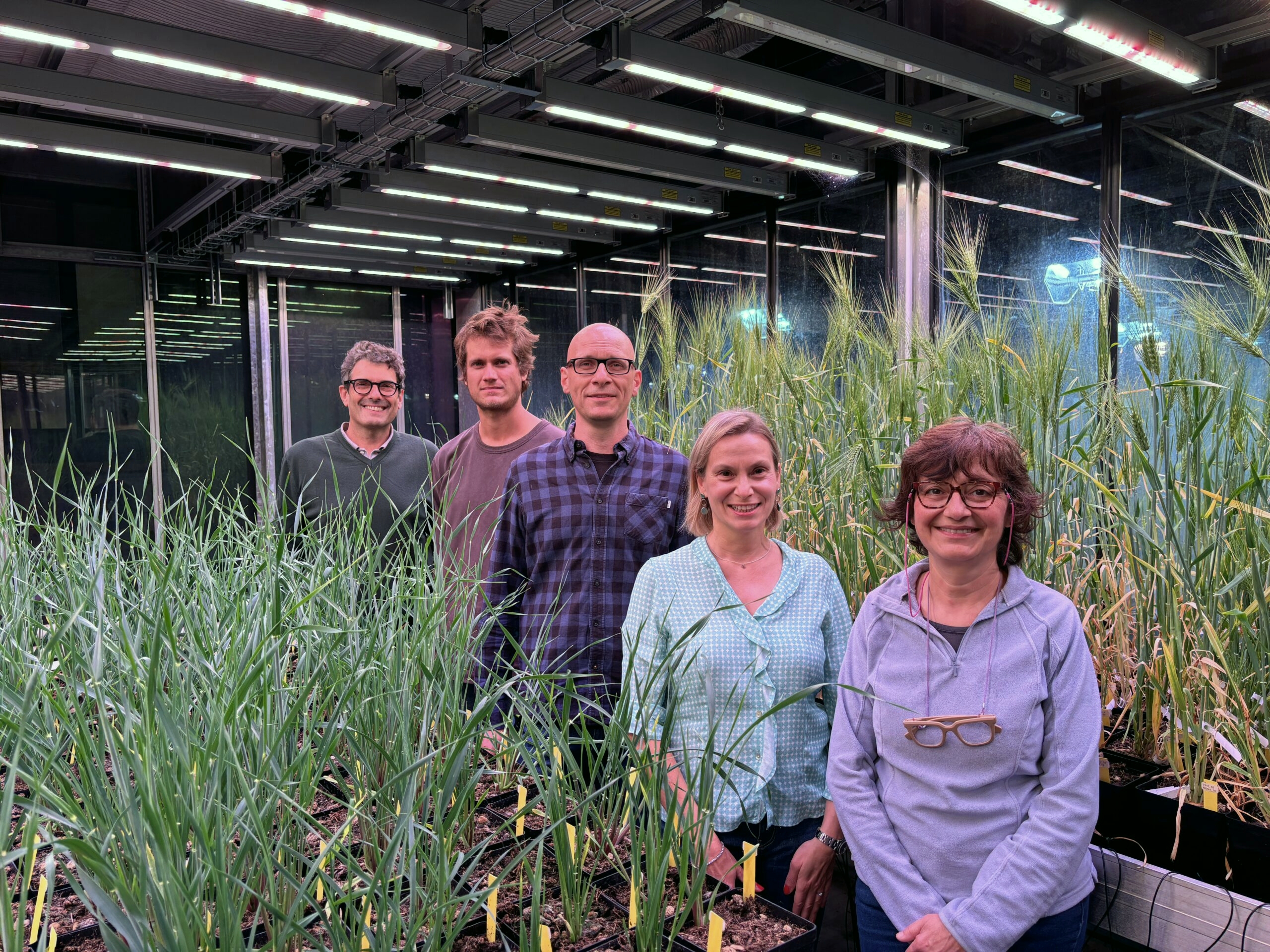 DMAT vince il progetto FISA 2024 SUSTAIN